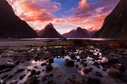 Trzyczęściowa seria „Nowa Zelandia: wyspy mityczne” od 5 lutego w Polsat Viasat Nature 