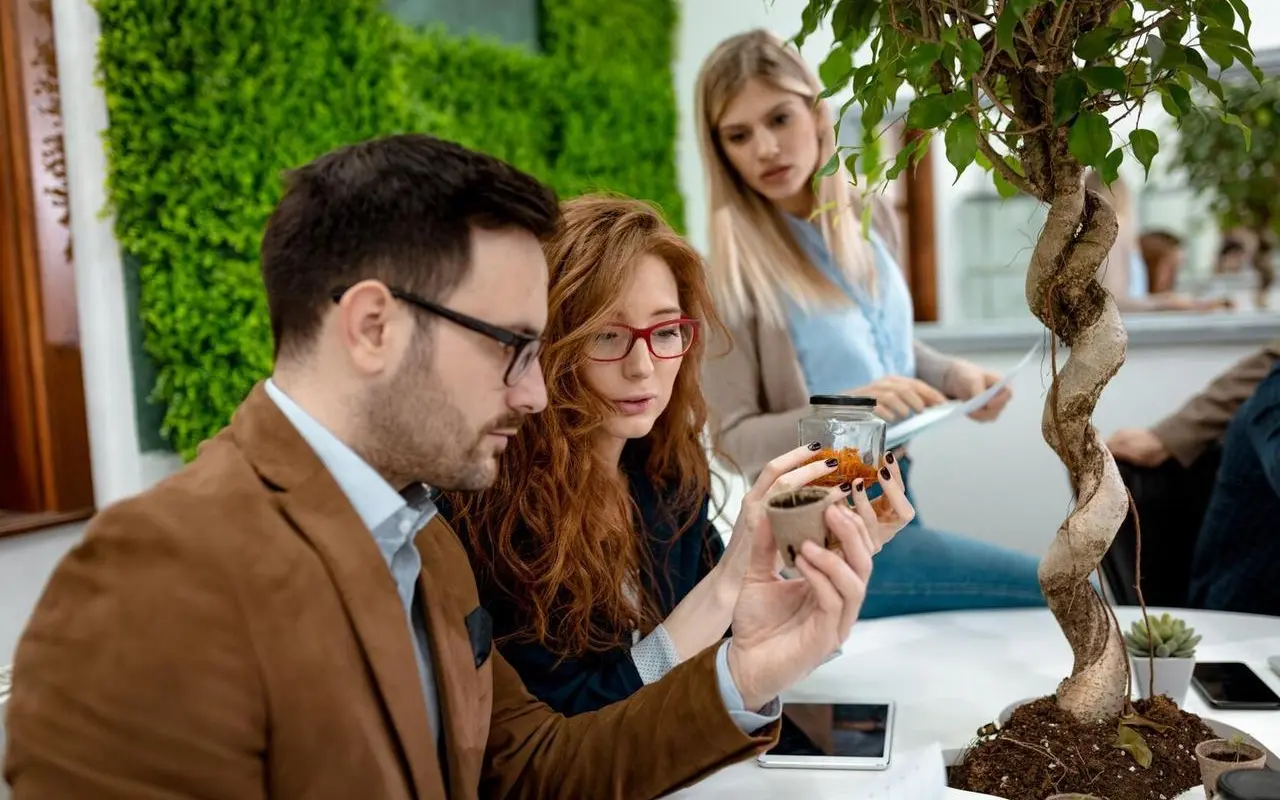 Polityka gospodarcza a rozwój startupów w Polsce